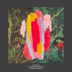 The Map & The Territory