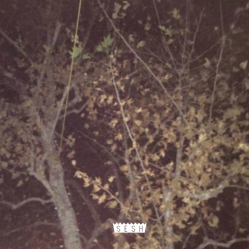 into the trees