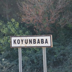 Carlo Domeniconi - KOYUNBABA 4,  Peter Fillo - guitar