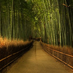 Serenity