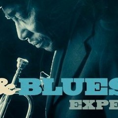 BEST OF Jazz N' Blues Experience