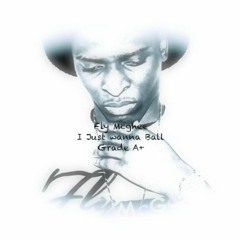 Fly Mcghee - Just Wanna Ball