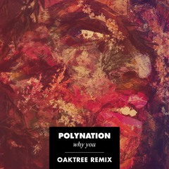 Polynation - Why You (Oaktree Remix)