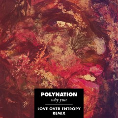 Polynation - Why You (Love over Entropy Remix)