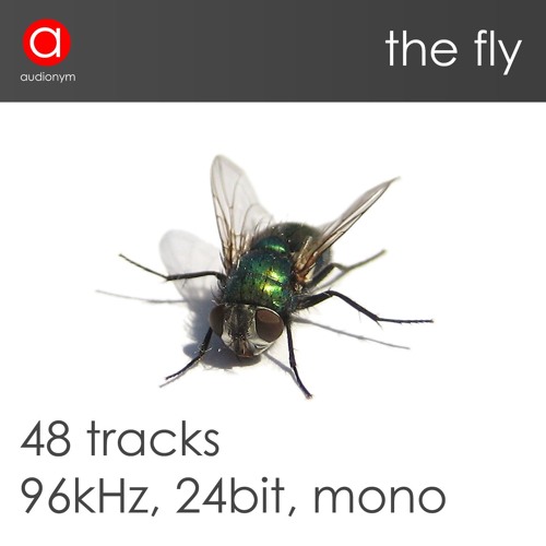 Stream The Fly - Demotrack by audionym - sfx library | Listen online ...