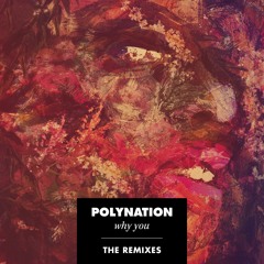 #ATM030 Polynation - Why You (The Remixes)