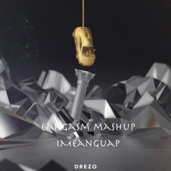 I Mean Guap (Eargasm Mashup)