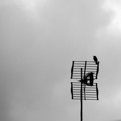 Progression 8 - Orientation Signal