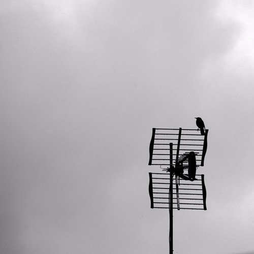 Progression 8 - Orientation Signal