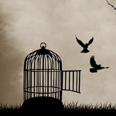 Der lange Weg in die Freiheit