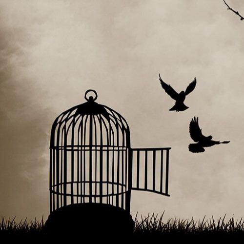 Der lange Weg in die Freiheit