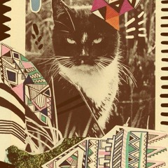 Mad Katz / Andy Katz / Autumnmixtape