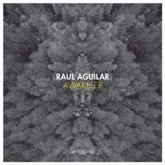 Raul Aguilar - Chasing (Original Mix)