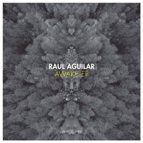 Raul Aguilar - Chasing (Original Mix)