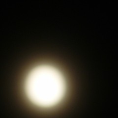 Mystical moonshine ( collab with Birgit )