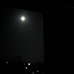 Trashed (Improvisation 151208)