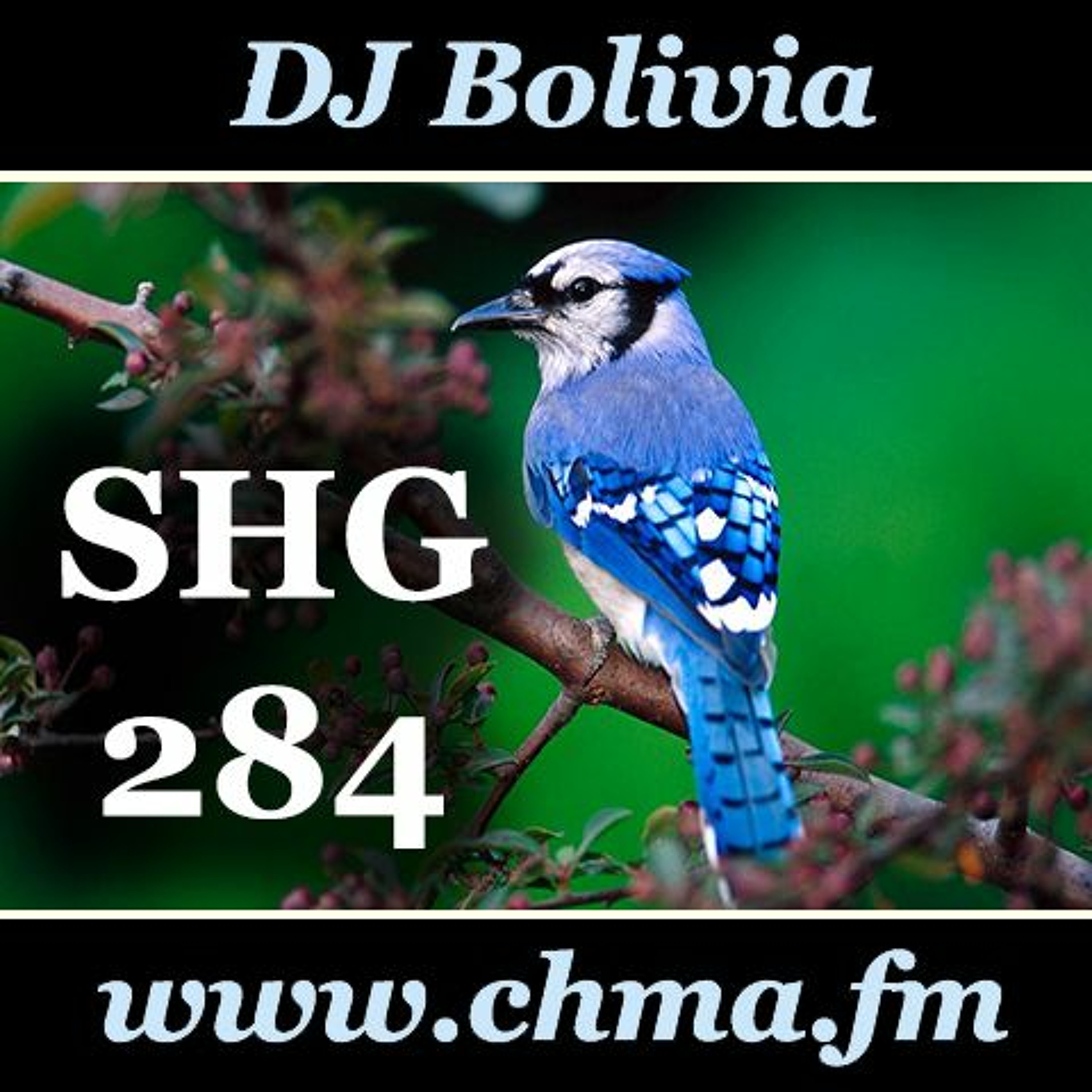 DJ Bolivia
