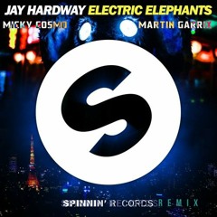 Jay Hardway - Electric Elephants  ( Micky Cosmo Remix )