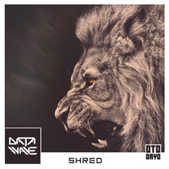 Data Wave - Shred