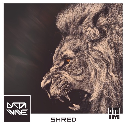 Data Wave - Shred