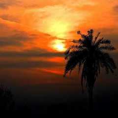 তুমি সন্ধ্যাকাশের তারার মতো....
