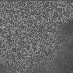 An old session @Home