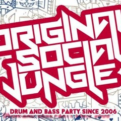 NTROPY - vinyl set for Original Social Jungle