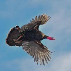 Mumble track Thanksgiving 2015