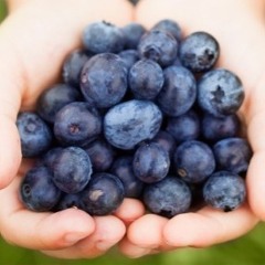 Blueberrys