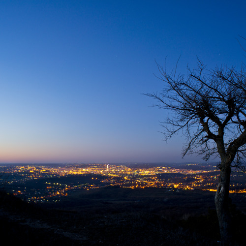 Socez - Unele Dintre Ele