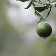 Tempestad-El M.B(prod. albomontanos records)