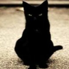 Mala Fortuna - El M.B