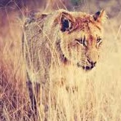 Predation for Solo Euphonium