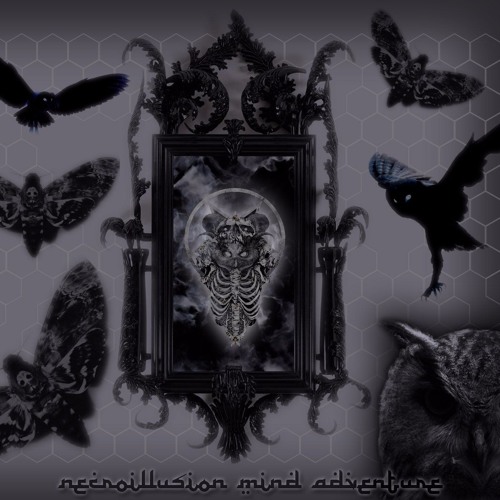 Necroillusion - Wing's Pollen (145)