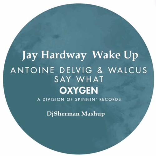 Jay Hardway VS Antoine Delvig & Walcus - Say Wake Up (DjSherman Mashup)