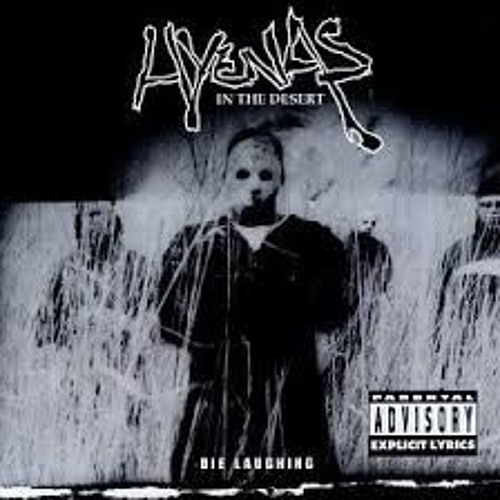 Hyenas In The Desert - Can You Feel It