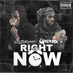 WillThaRapper - Right Now (Feat. Q Da Fool)