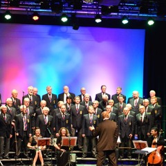 A Spaceman Came Travelling