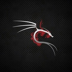 Nhạc nghe khi code