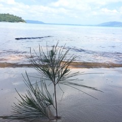 ពេលមេឃស្រទុំ​ _ រស់​ សេរីសុទ្ធា​ cover