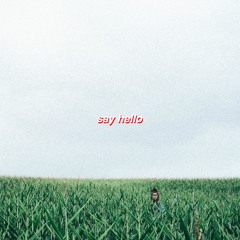 Say Hello (ft. Saidah Conrad)
