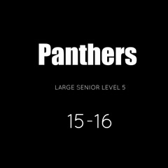 Cheer Athletics Panthers 201516