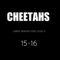 Cheer Athletics Cheetahs 201516