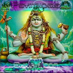 Psymbiosis @ Shiva Moon 2015 - 11 - 22 4h00m23 1