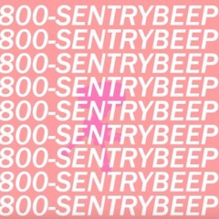 1800-SENTRY-BEEP (Custom Instrumental)