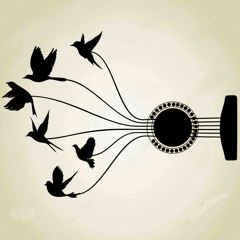 Blackbird at 4.30 am