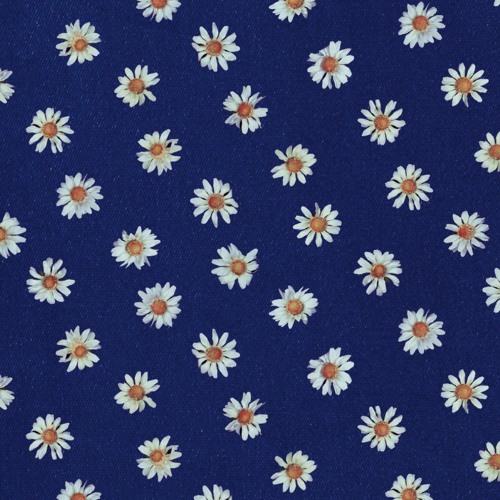 04. FLOWER GIRL - Kinoko Teikoku