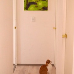 Hanns Trippy (Nathan Barato Remix)