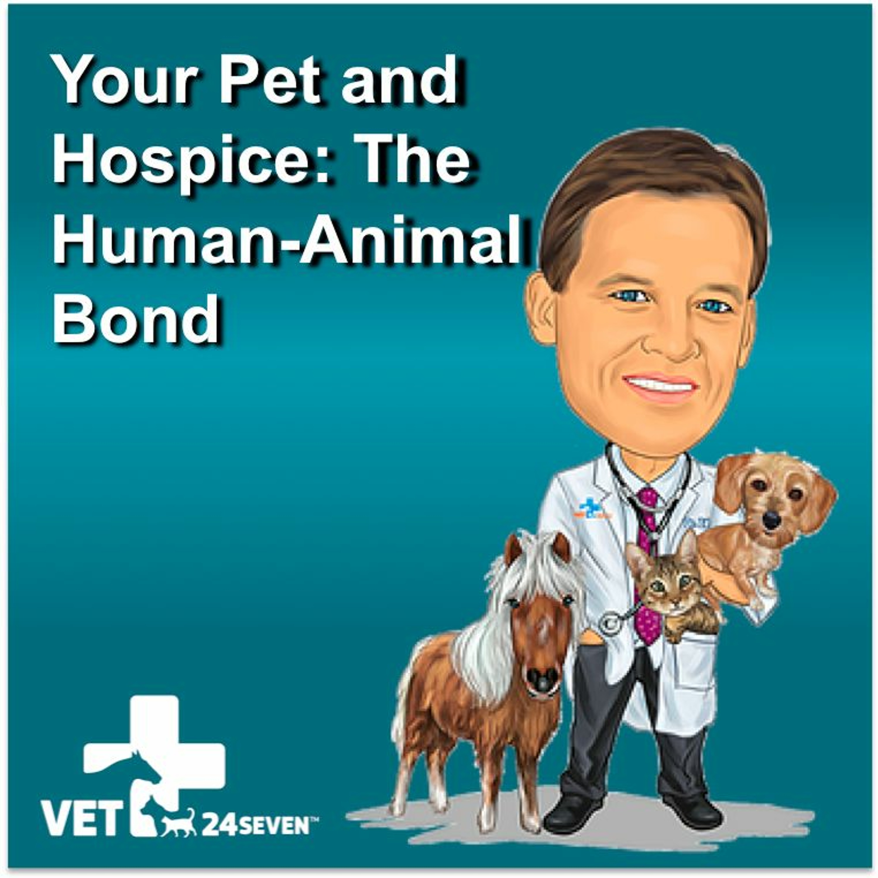 Podcast6 Q4 - Should You Feel Guilt Over Pet Hospice? episode artwork