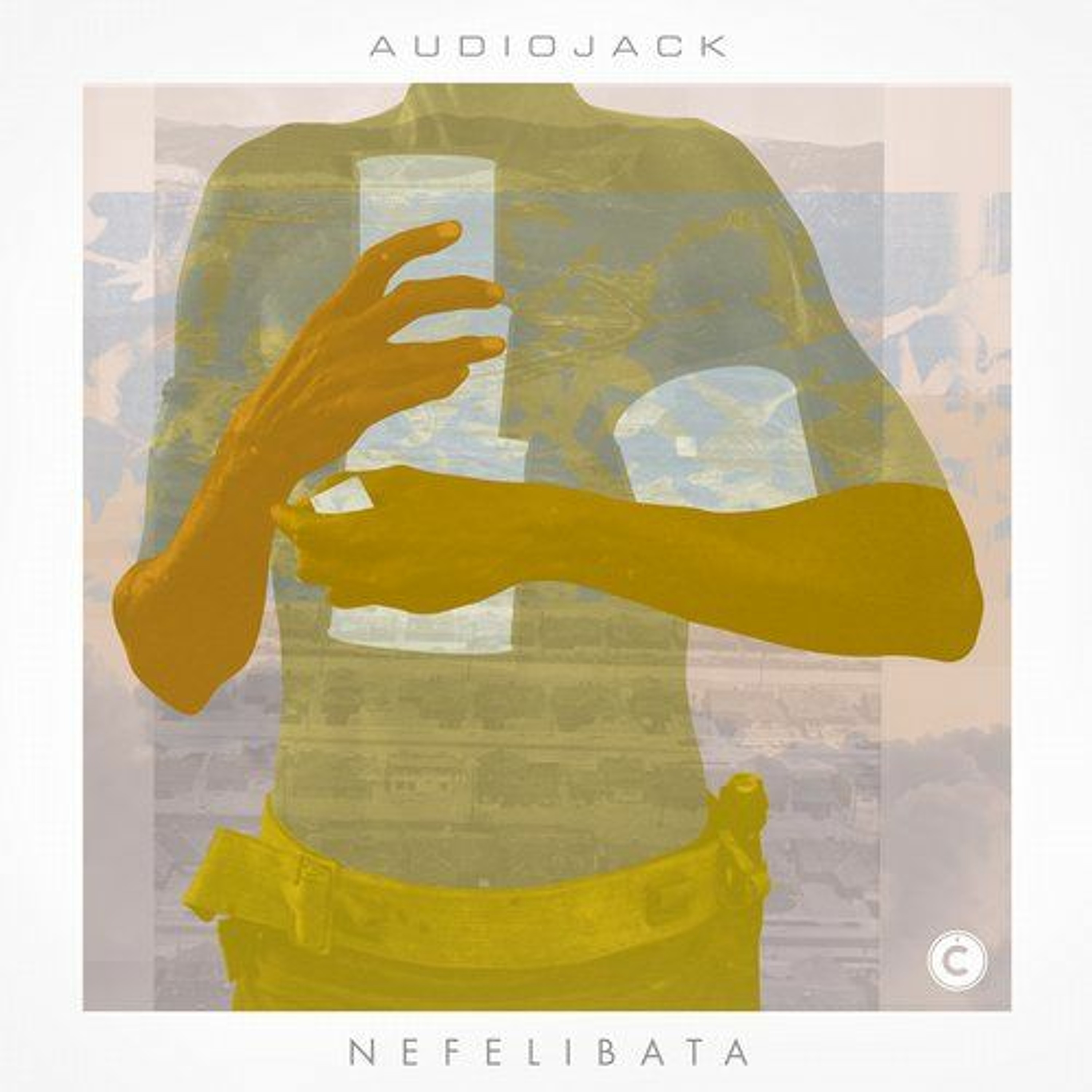 Audiojack